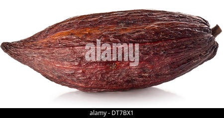 Pod di cacao su uno sfondo bianco. Foto Stock