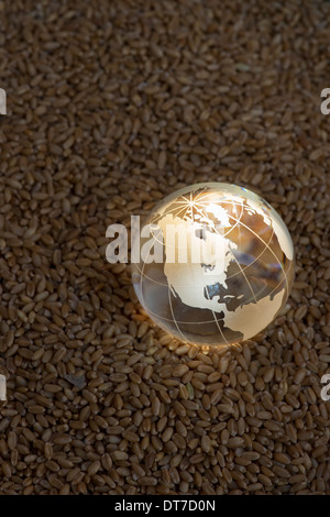 Globo di vetro su grani di grano evidenziato dal sole per rappresentare una crisi alimentare globale / carenza Foto Stock