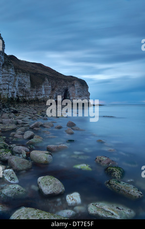 Nord in atterraggio a Flamborough Head, costa dello Yorkshire, Inghilterra, Regno Unito Foto Stock