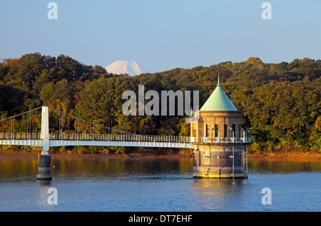 Il monte Fuji e l'acqua torre di aspirazione sul serbatoio di Yamaguchi Lago Sayama Giappone Foto Stock