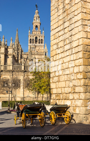 La Giralda torre campanaria e carrozze da PLAZA DEL TRIUNFO siviglia spagna Foto Stock