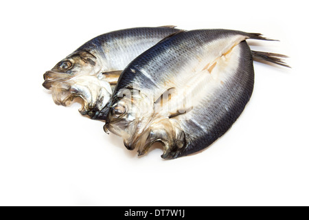 Non tinti scozzese con salmone affumicato isolato su un bianco di sfondo per studio. Foto Stock