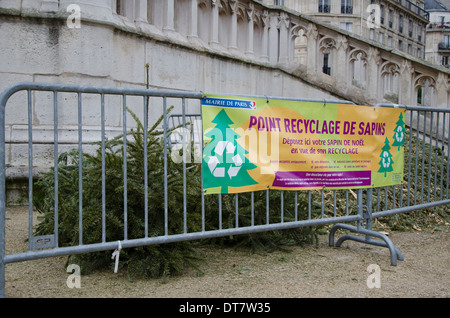 Punto di raccolta di vecchi alberi di Natale per il riciclaggio a Parigi, Francia. Foto Stock