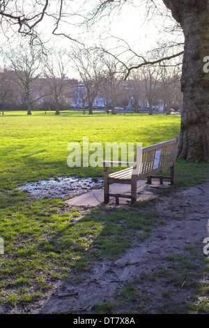 Una panchina nel parco nel tardo pomeriggio di sole, campi di Highbury, Islington, Londra, Regno Unito, Inghilterra Foto Stock