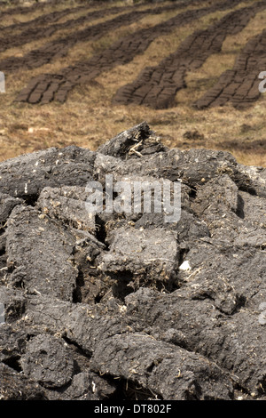 Estrazione di torba, essiccato tagliato turves su moor, North Uist, Ebridi Esterne, Scozia, può Foto Stock