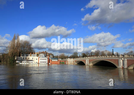 Hampton Court, Greater London, England, Regno Unito. Il 10 febbraio 2014. Dopo le eccezionali livelli di pioggia in tutto il Regno Unito, il fiume Tamigi è in aumento in Hampton Court Bridge e il Mitre Hotel e ristorante Riverside sono alla ricerca sempre più vulnerabile alle inondazioni. Credito: Julia Gavin/Alamy Live News Foto Stock