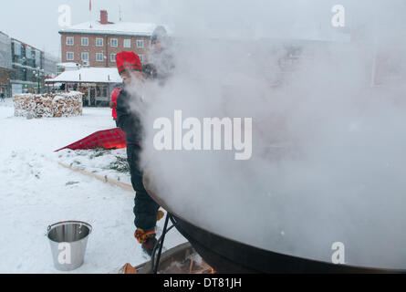 Umea, Vasterbotten, Svezia. Il 1° febbraio 2014. 1 febbraio 2014, Umea, Svezia: weekend apertura feste come la città di Umea, Svezia è stato introdotto come il 2014 Capitale della cultura dell'Europa promantly visualizzati cultura Sami e dogana. Questo tipico rifugio Sami, costituito da un enorme pentola bollente brodo di cottura della carne di renna su un fuoco aperto circondato da pelliccia-pavimento coperto, è qui installato a Radhustorget, Umea la piazza principale. © Rob Schoenbaum/ZUMA filo/ZUMAPRESS.com/Alamy Live News Foto Stock