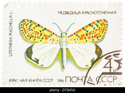 Timbro stampato in URSS, mostra Butterfly Utetheisa piuttosto Utetheisa pulchella Foto Stock