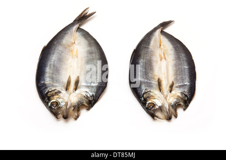 Non tinti con salmone affumicato isolato su un bianco di sfondo per studio. Foto Stock