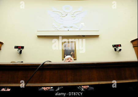 Washingtong, STATI UNITI D'AMERICA. Xi Febbraio, 2014. La US Federal Reserve sedia Janet Yellen dà la sua prima testimonianza al congresso durante una casa Comitato per i servizi finanziari udienza del Campidoglio di Washington DC, capitale degli Stati Uniti, 11 febbraio, 2014. Yellen detto martedì avrebbe continuare ad attuare la politica monetaria dell ex Presidente Ben Bernanke. © Zhang Jun/Xinhua/Alamy Live News Foto Stock