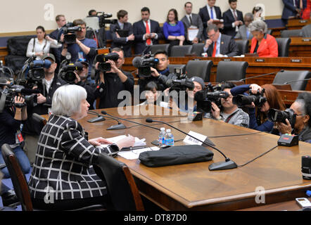 Washingtong, STATI UNITI D'AMERICA. Xi Febbraio, 2014. La US Federal Reserve sedia Janet Yellen dà la sua prima testimonianza al congresso durante una casa Comitato per i servizi finanziari udienza del Campidoglio di Washington DC, capitale degli Stati Uniti, 11 febbraio, 2014. Yellen detto martedì avrebbe continuare ad attuare la politica monetaria dell ex Presidente Ben Bernanke. © Zhang Jun/Xinhua/Alamy Live News Foto Stock