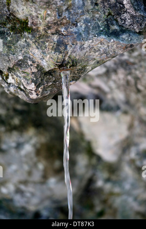 La Bénite Fontaine, primavera naturale. Foto Stock