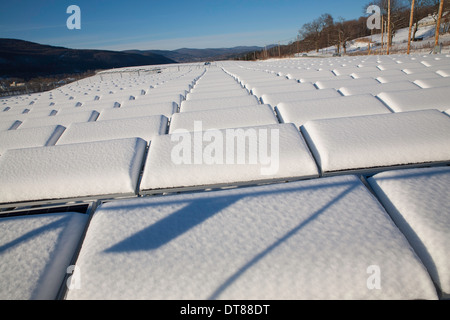 Collettori solari non raccogliere molti sole dopo una forte tempesta di neve in Nuova Inghilterra del Berkshires. Foto Stock