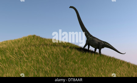 Mamenchisaurus in un campo aperto. Foto Stock