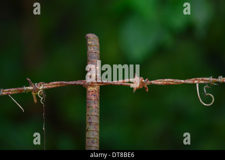 Macro di un arrugginito barbwire recinto con uno sfondo scuro Foto Stock