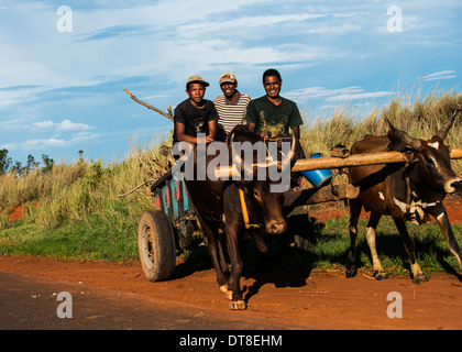 Scene rurali in Madagascar. Foto Stock