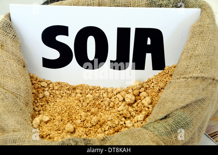 SOIA Foto Stock