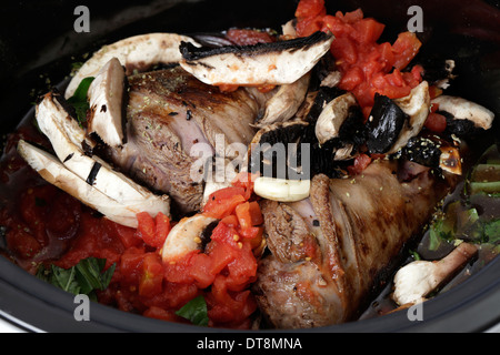 Due codoli di agnello, leggermente dorato pronto per la cottura in uno slow cooker Foto Stock