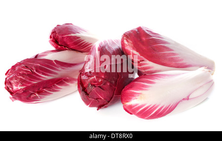 Le cicorie di Bruxelles di carmine di fronte a uno sfondo bianco Foto Stock