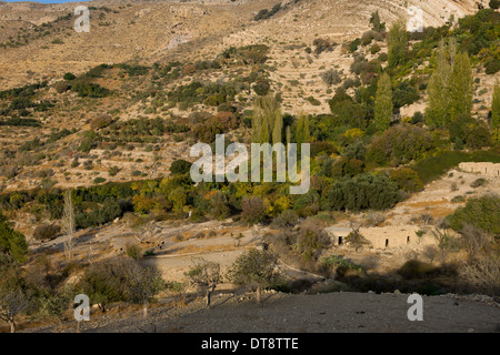 Abitazioni deserte e vecchi campi terrazzati all'ingresso del Wadi Dana gorge di Dana Riserva della Biosfera, Dana, Giordania Foto Stock