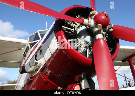 Il motore radiale di un Antanov un2 aeromobile - Shvetson ASH-21 Foto Stock