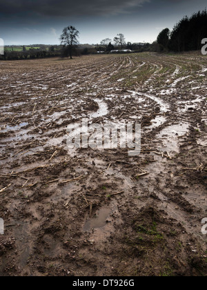 Soluzione satura di terreni agricoli dopo prolungato Heavy Rain Febbraio 2014 Foto Stock