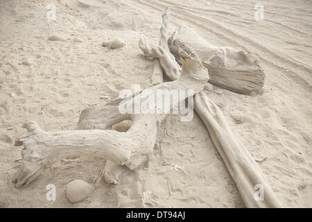 Febbraio 7, 2013 - Chittagong, Chittagong, Bangladesh - appena ad ovest del confine indiano, Jaflong è una cittadina la cui abbondanza naturale è sotto la minaccia. Questa zona rurale ha il potenziale per essere una destinazione di sogno per urban-stanco i turisti che cercano i tranquilli dintorni di lussureggianti foreste e cascate incontaminate. Ma purtroppo non tutto è bene qui. Negli ultimi due decenni, Jaflong il paesaggio è stato sistematicamente distrutto. La vista che potrebbe avere una volta venuto dritto fuori da un artista della tela è in rapida evoluzione. Forse per sempre. Massi sono diventati Jaflong's blight. Con più di un centinaio di sto Foto Stock