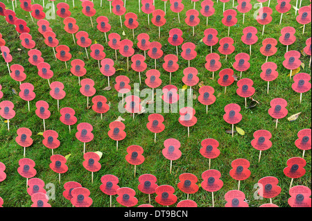 Migliaia di papaveri di carta sul giorno del ricordo a Ypres ora chiamato lebbroso nelle Fiandre Belgio Foto Stock