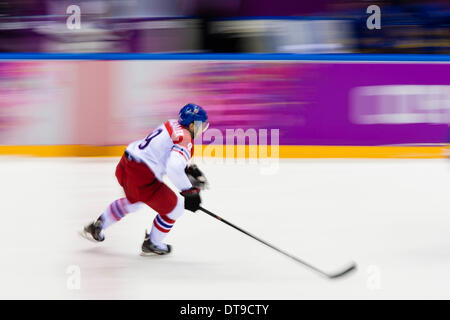 Sochi, Krai Krasnodar, Russia. 12 feb 2014. La Repubblica ceca è Milano MICHALEK in azione durante il maschile di hockey su ghiaccio turno preliminare tra il Regno di Svezia e la Repubblica ceca al Bolshoy Cupola di ghiaccio, Cluster costiere - XXII Giochi Olimpici Invernali Credito: Azione Sport Plus/Alamy Live News Foto Stock