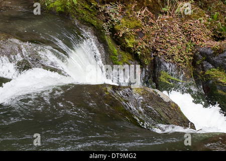 Cascata. Raggiunge la parte superiore del Fiume Savegre, San Gerado de doto. Talamanea montagne, Costa Rica. America centrale. Foto Stock