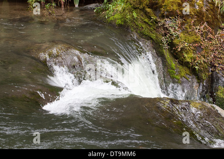 Cascata. Raggiunge la parte superiore del Fiume Savegre, Talamanea montagne, Costa Rica. America centrale. Foto Stock