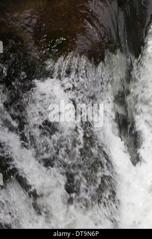 Cascata. Raggiunge la parte superiore del Fiume Savegre, Talamanea montagne, Costa Rica. America centrale. Foto Stock