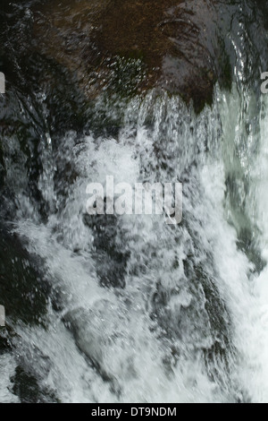 Cascata. Raggiunge la parte superiore del Fiume Savegre, Talamanea montagne, Costa Rica. America centrale. Foto Stock