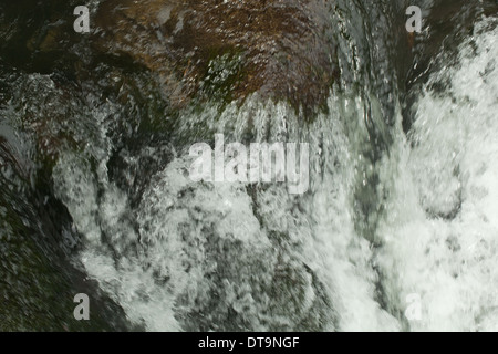 Cascata. Raggiunge la parte superiore del Fiume Savegre, Talamanea montagne, Costa Rica. America centrale. Foto Stock