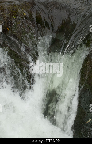 Cascata. Raggiunge la parte superiore del Fiume Savegre, Talamanea montagne, Costa Rica. America centrale. Foto Stock