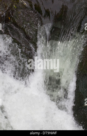 Cascata. Raggiunge la parte superiore del Fiume Savegre, Talamanea montagne, Costa Rica. America centrale. Foto Stock