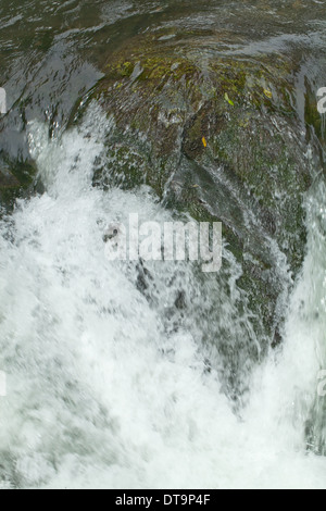 Cascata. Raggiunge la parte superiore del Fiume Savegre, Talamanea montagne, Costa Rica. America centrale. Foto Stock