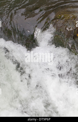 Cascata. Raggiunge la parte superiore del Fiume Savegre, Talamanea montagne, Costa Rica. America centrale. Foto Stock