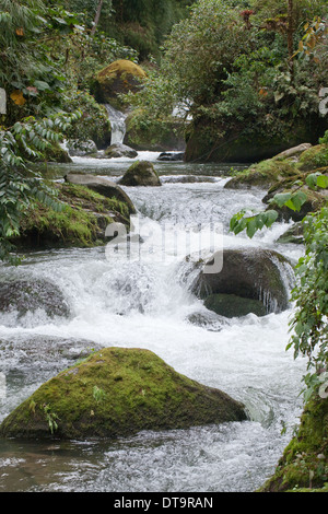 Cascata. Raggiunge la parte superiore del Fiume Savegre, Talamanea montagne, Costa Rica. America centrale. Foto Stock