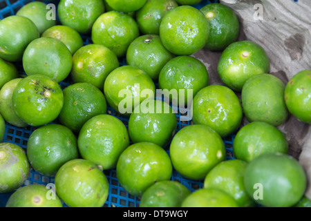 Sfondo del Limes nel cestello blu Foto Stock