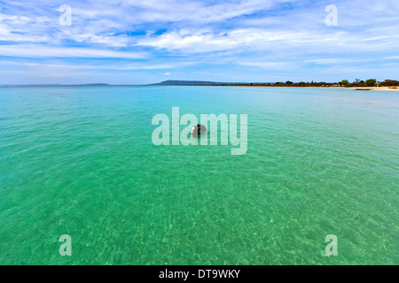 I driver di scuba in Port Phillip Bay Victoria Australia Foto Stock