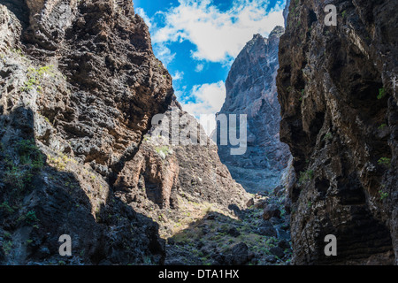 Scogliera in Masca Gorge, formazione di roccia, rocce vulcaniche, Tenerife, Isole Canarie, Spagna Foto Stock