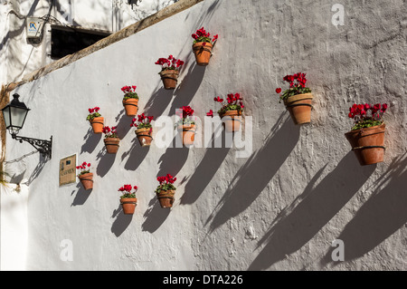 MARBELLA Spagna la città vecchia e vasi di fiori su una parete con fiori di ciclamino al tempo di Natale Foto Stock