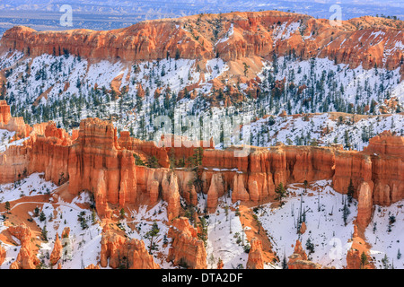 Inverno nel Parco Nazionale di Bryce Canyon, Utah - USA Foto Stock