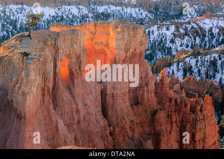 Inverno sunrise nel Parco Nazionale di Bryce Canyon, Utah - USA Foto Stock