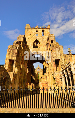 Le rovine di Jedburgh Abbey, il monastero degli Agostiniani, del XII secolo, Jedburgh Scottish Borders, Scotland, Regno Unito Foto Stock