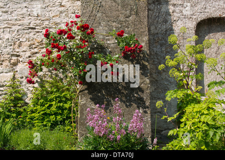 Rommersdorf bei Gladbach, Badia, Prämonstratenserkloster Foto Stock