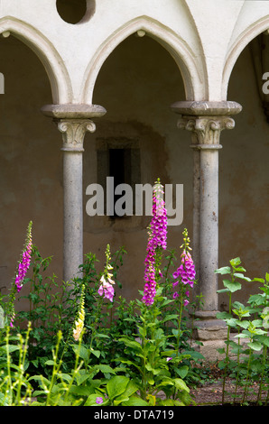 Rommersdorf bei Gladbach, Badia, Prämonstratenserkloster Foto Stock