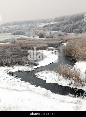Inverno scenic del Fiume Kalynova, Makeevka, Donetsk regione, Ucraina. Foto Stock