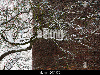 Krefeld, Burg Linn Foto Stock